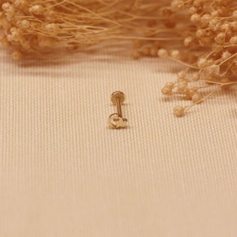 Ay Yıldız Tragus Piercing