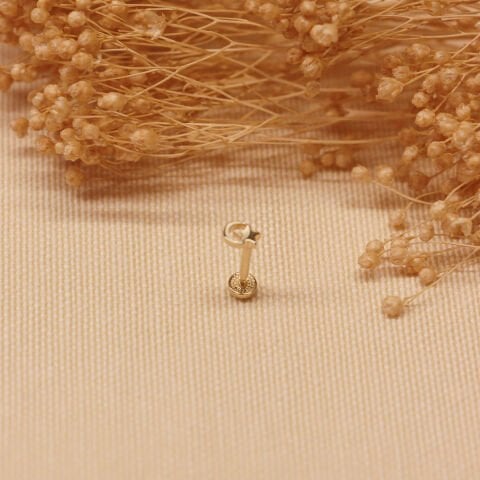 Ay Yıldız Tragus Piercing