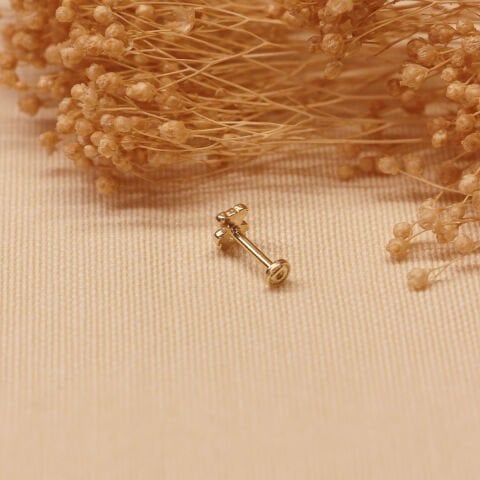 Teddy Bear Tragus Piercing