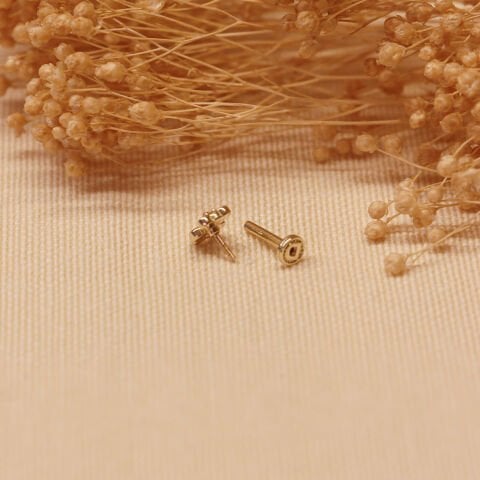 Teddy Bear Tragus Piercing