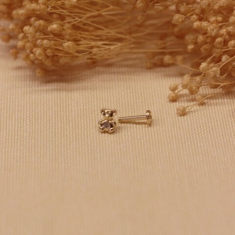 Teddy Bear Tragus Piercing