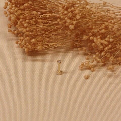 Damla Taş Tragus Piercing