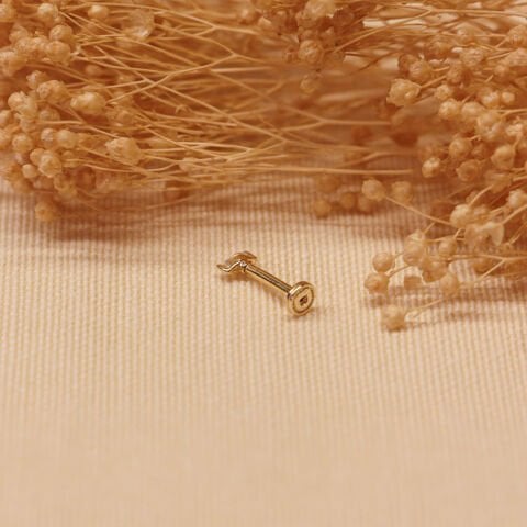 Markiz Tragus Piercing