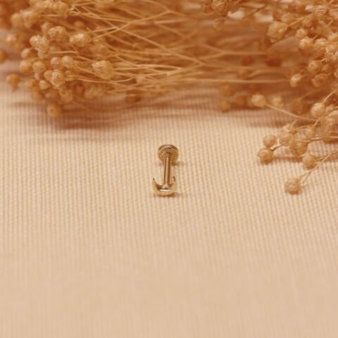 Hilal Tragus Piercing