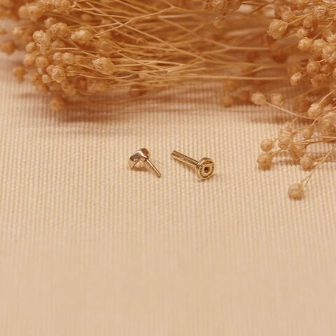 Hilal Tragus Piercing