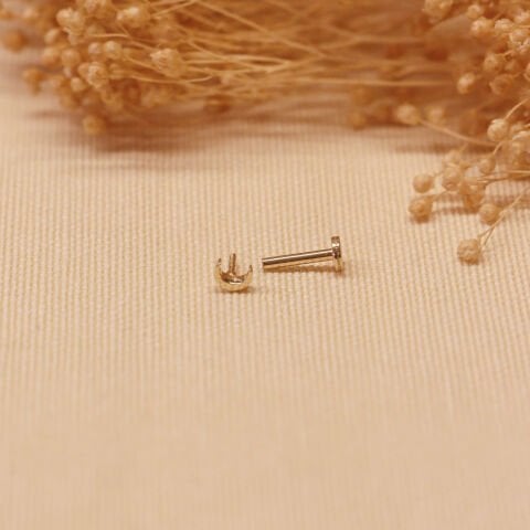 Hilal Tragus Piercing