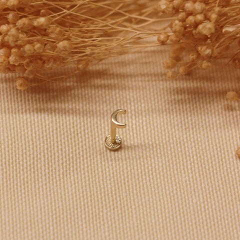 Hilal Tragus Piercing