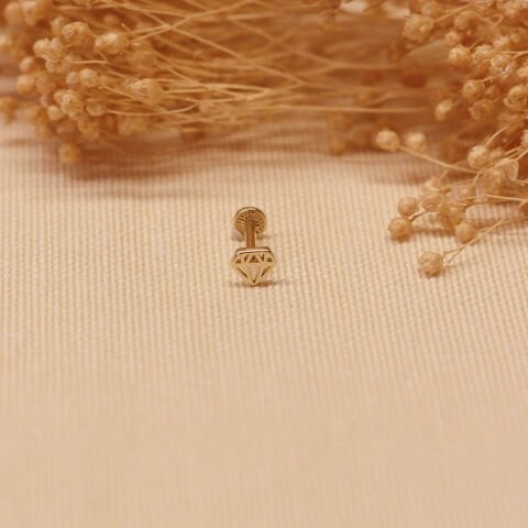 Elmas Sembol Tragus Piercing