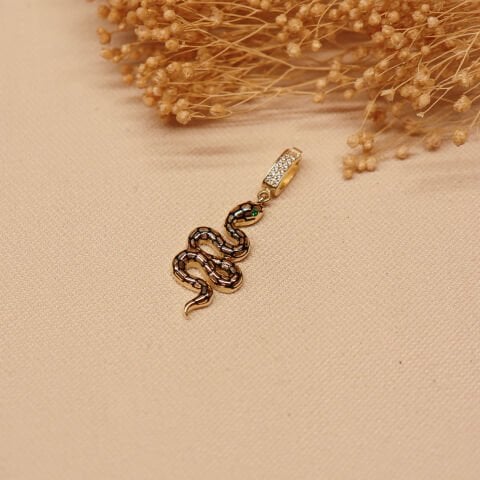Yılan Charm