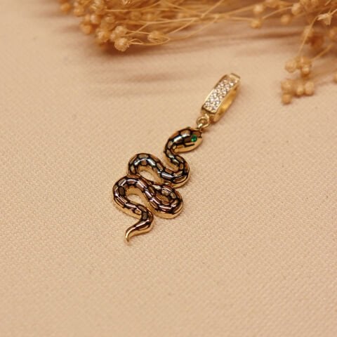 Yılan Charm
