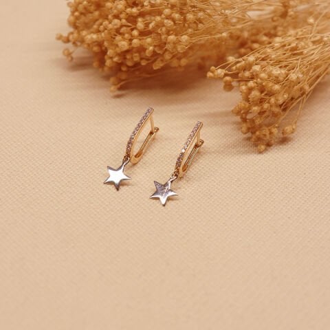 Plaka Yıldız Sallantılı Küpe