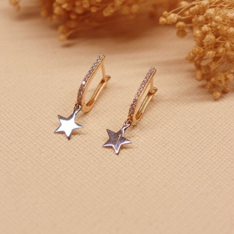 Plaka Yıldız Sallantılı Küpe