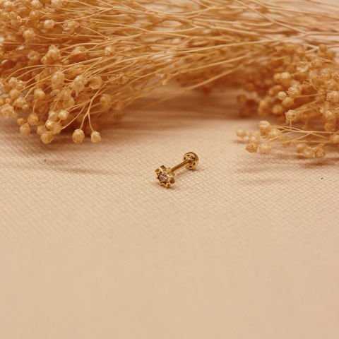 Taşlı Yıldız Tragus