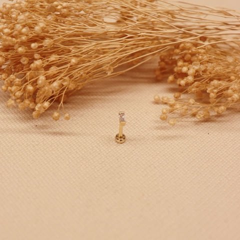 Baget Tragus Piercing