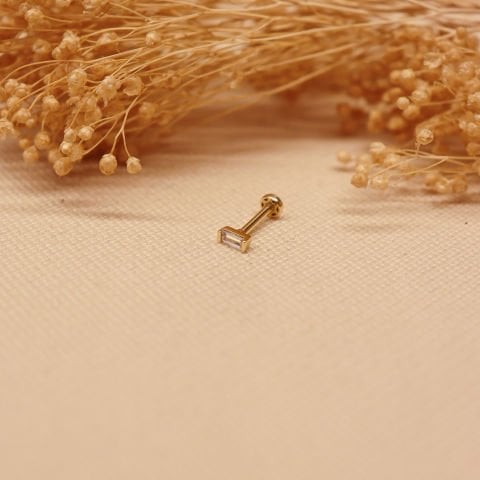 Baget Tragus Piercing