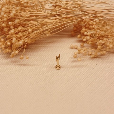 Şimşek Tragus Piercing