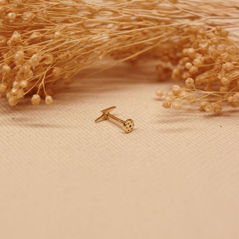 Şimşek Tragus