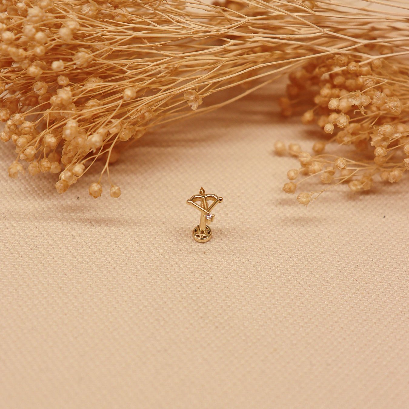 Eros Tragus Piercing