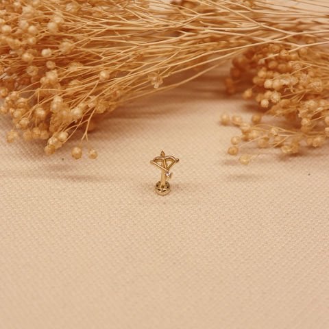 Eros Tragus Piercing