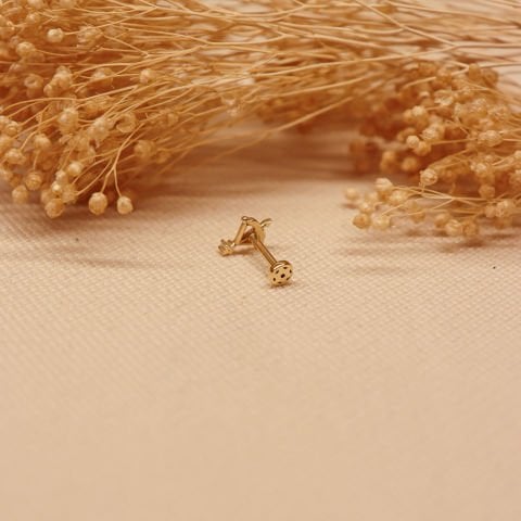 Eros Tragus Piercing