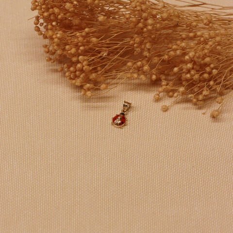 Uğur Böceği Minimal Kolye Ucu