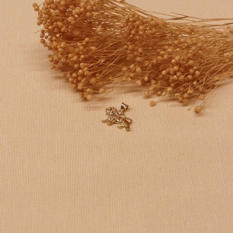 Aslan Minimal Kolye Ucu