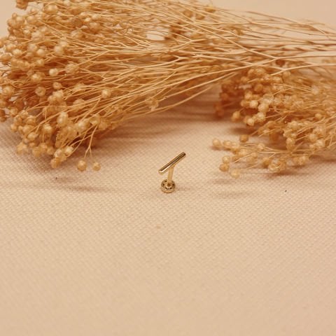 Çubuk Tragus