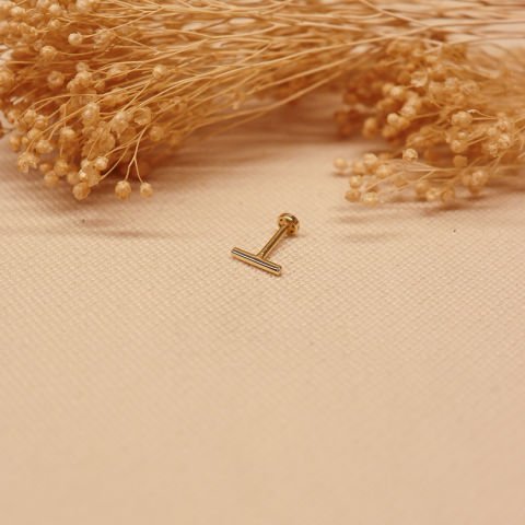 Çubuk Tragus