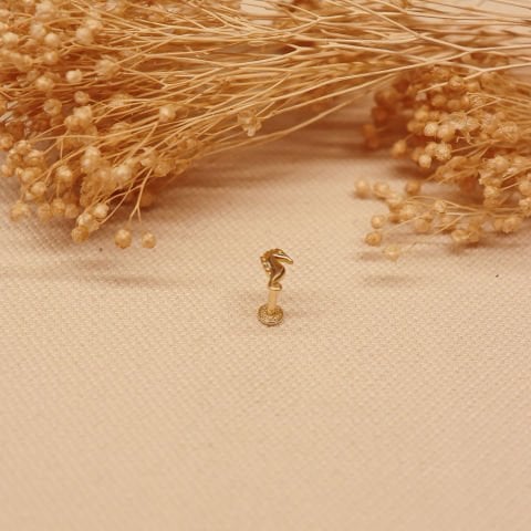 Deniz Atı Tragus Piercing