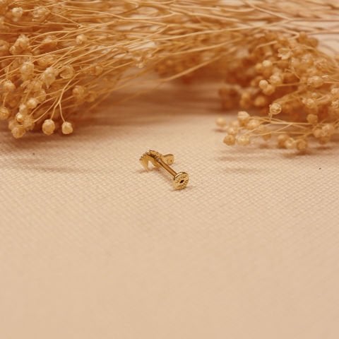 Deniz Atı Tragus Piercing