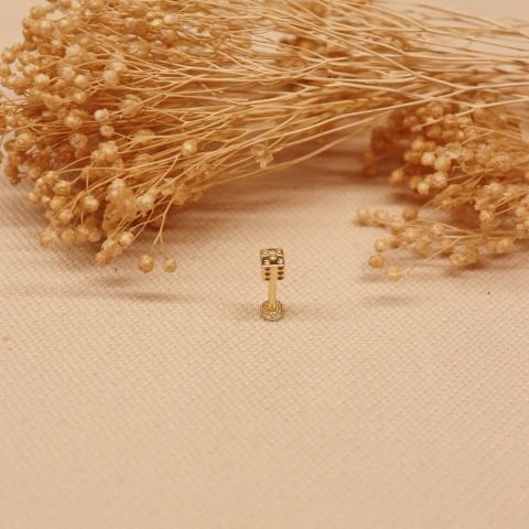 Zar Tragus