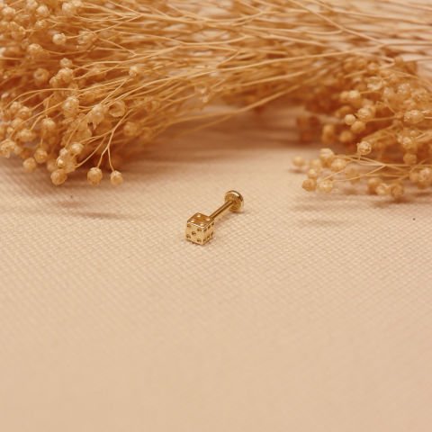 Zar Tragus