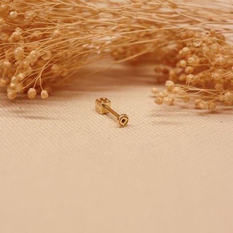 Zar Tragus
