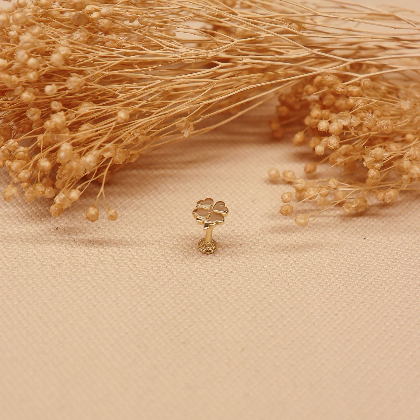 Yonca Tragus Piercing