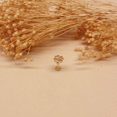 Yonca Tragus Piercing