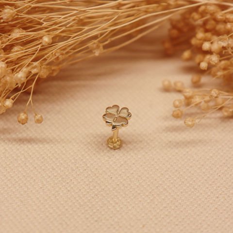 Yonca Tragus
