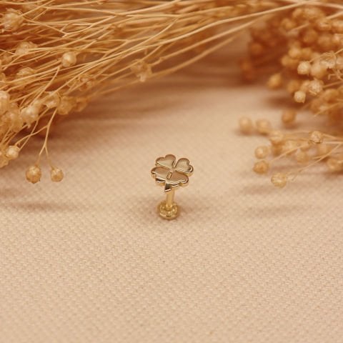 Yonca Tragus Piercing