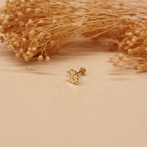 Yonca Tragus Piercing