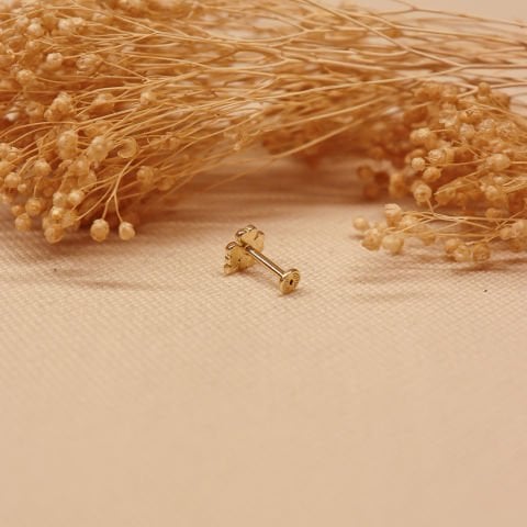 Yonca Tragus Piercing