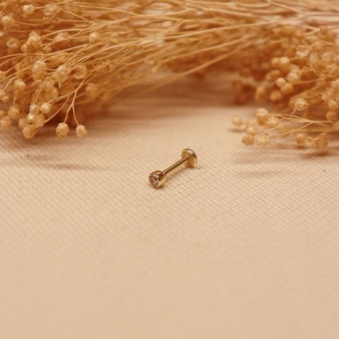 Sıvama Tektaş Tragus Piercing