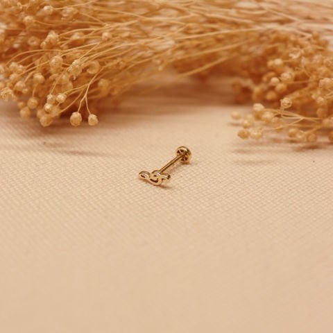 Sol Anahtarı Tragus Piercing