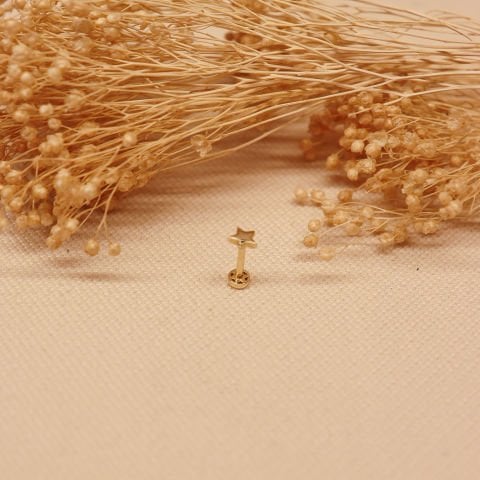 Yıldız Tragus Piercing