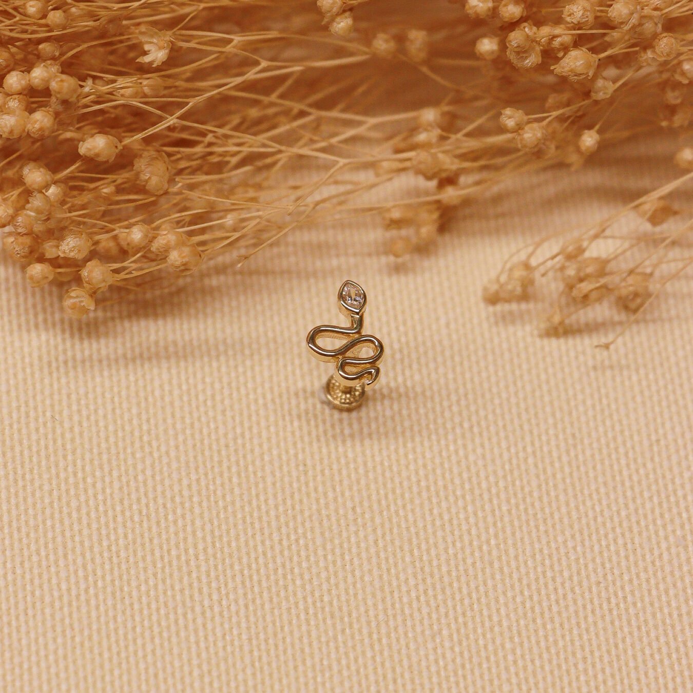 Snake Tragus Piercing