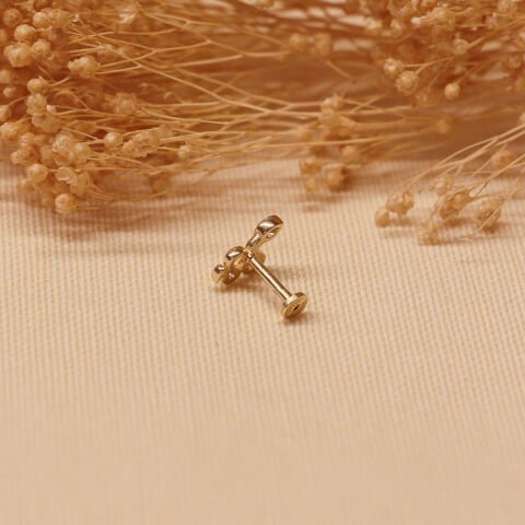 Snake Tragus Piercing