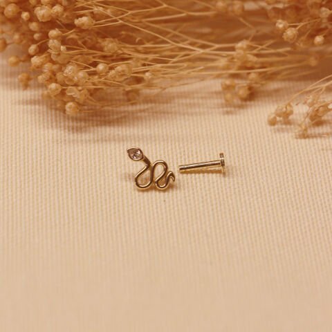 Snake Tragus Piercing