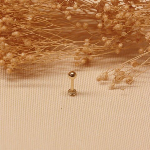 2 Mm Top Tragus Piercing