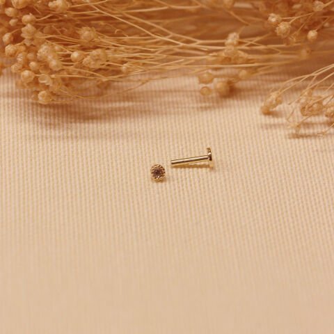 Sıvama Tektaş Tragus Piercing