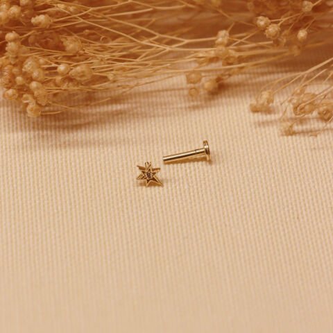 Kutup Yıldızı Tragus Piercing
