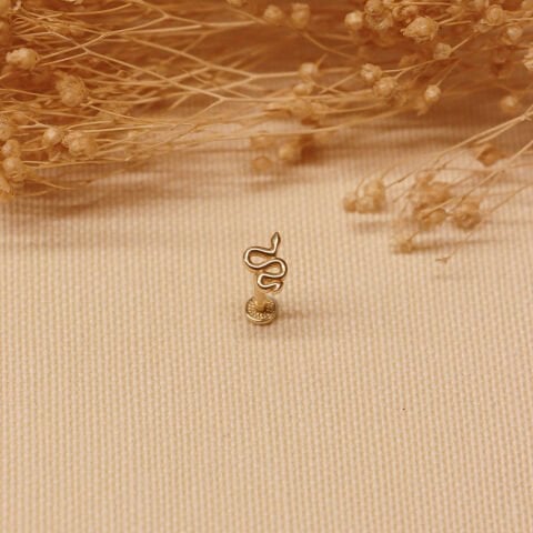 Yılan Tragus Piercing