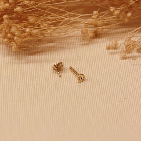 Yılan Tragus Piercing